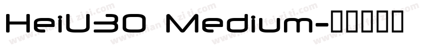 HeiU30 Medium字体转换